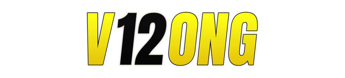 v12ong Logo
